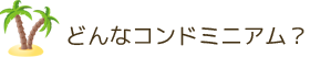 どんなコンドミニアム？